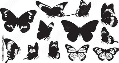 Decorative Butterfly Wing Silhouettes - Nature Insect Vector Set