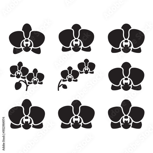 Collection of elegant orchid flower illustrations in various styles and designs for artistic projects