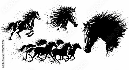 Dynamic Illustration of Horses in Motion, Showcasing Fluid Movement and Energy