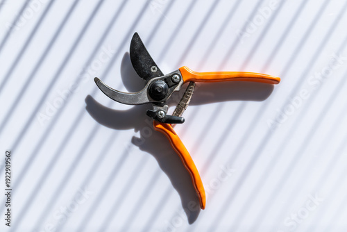 Orange garden pruners on a light surface with dramatic striped shadows from window blinds, minimalist still life with strong contrast and modern lighting.