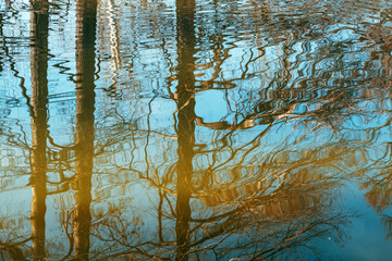 Plexiglas schilderij Reflectie Kaal bos weerspiegeld in blauw meer  © Bits and Splits