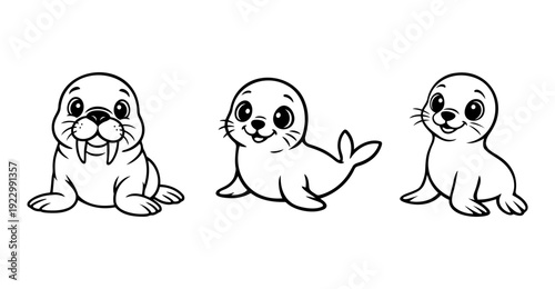 Walrus and Seal Cartoon Illustration Set