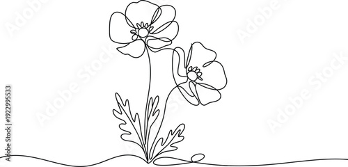 Continuous one line drawing of two blooming poppy flowers with leaves isolated on white background minimalist floral sketch for design.