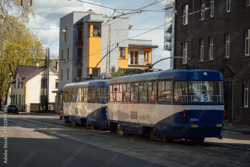 Obraz premium The train is driving through the city. Sunny day. Big houses in the background.