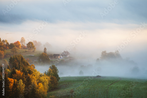 misty morning in the mountains