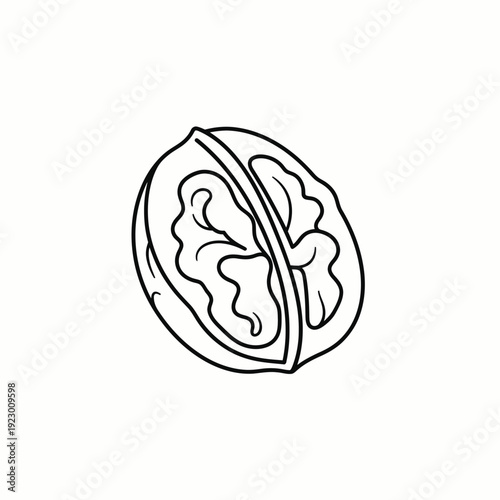 A simple line art illustration of a walnut cut in half, revealing the nutmeat