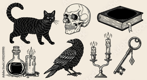 A dark illustration featuring a cat, skull, book, crow, candelabra, key, and potions in a mysterious setting