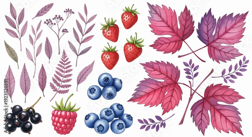 Collection of ripe fruits and leaves in various shades of pink and purple, surrounded by lush foliage, from a top-down viewpoint