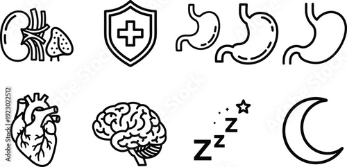 Illustrations representing various aspects of human health and wellness isolated on transparent background, Vector