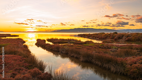 Golden sunset reflections in coastal marsh. Ebro Delta, Spain. 