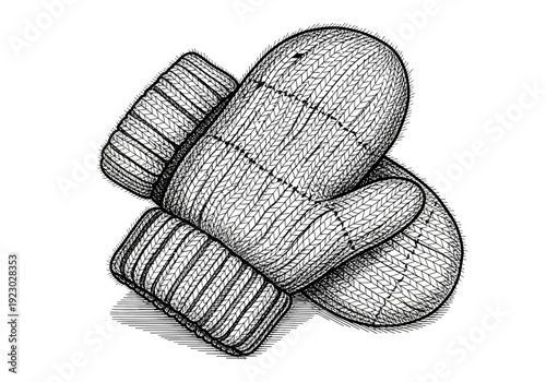 Knitted Mittens Illustration.