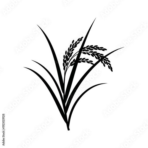 Black and white illustration of rice plant.