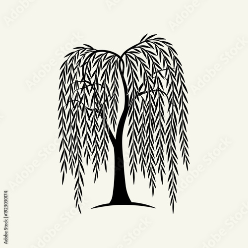 Black and white illustration of a weeping willow tree.