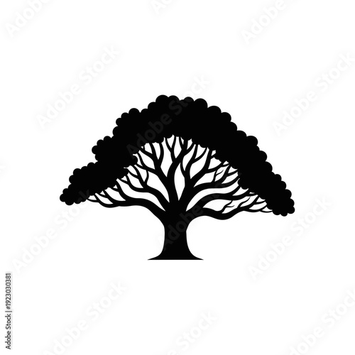 Silhouette of a large sprawling tree with intricate branches and a full canopy.