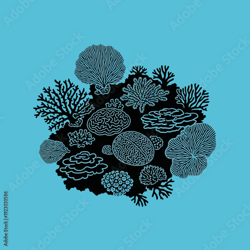 Collection of Diverse Coral Reef Organisms.