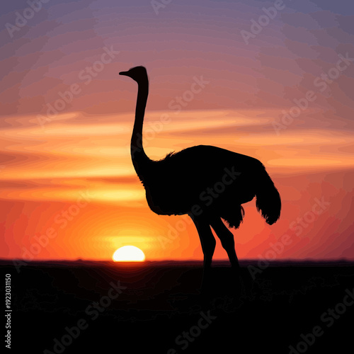 Silhouette of an Ostrich at Sunset.