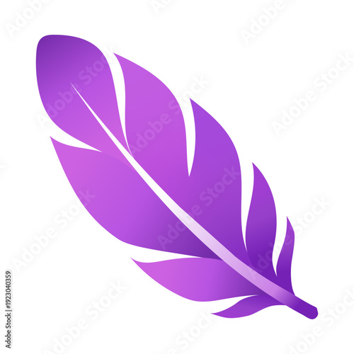 Purple feather on a white background