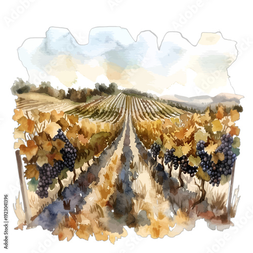 Watercolor Vineyard Landscape with Ripe Grapes and Autumn Leaves at Harvest