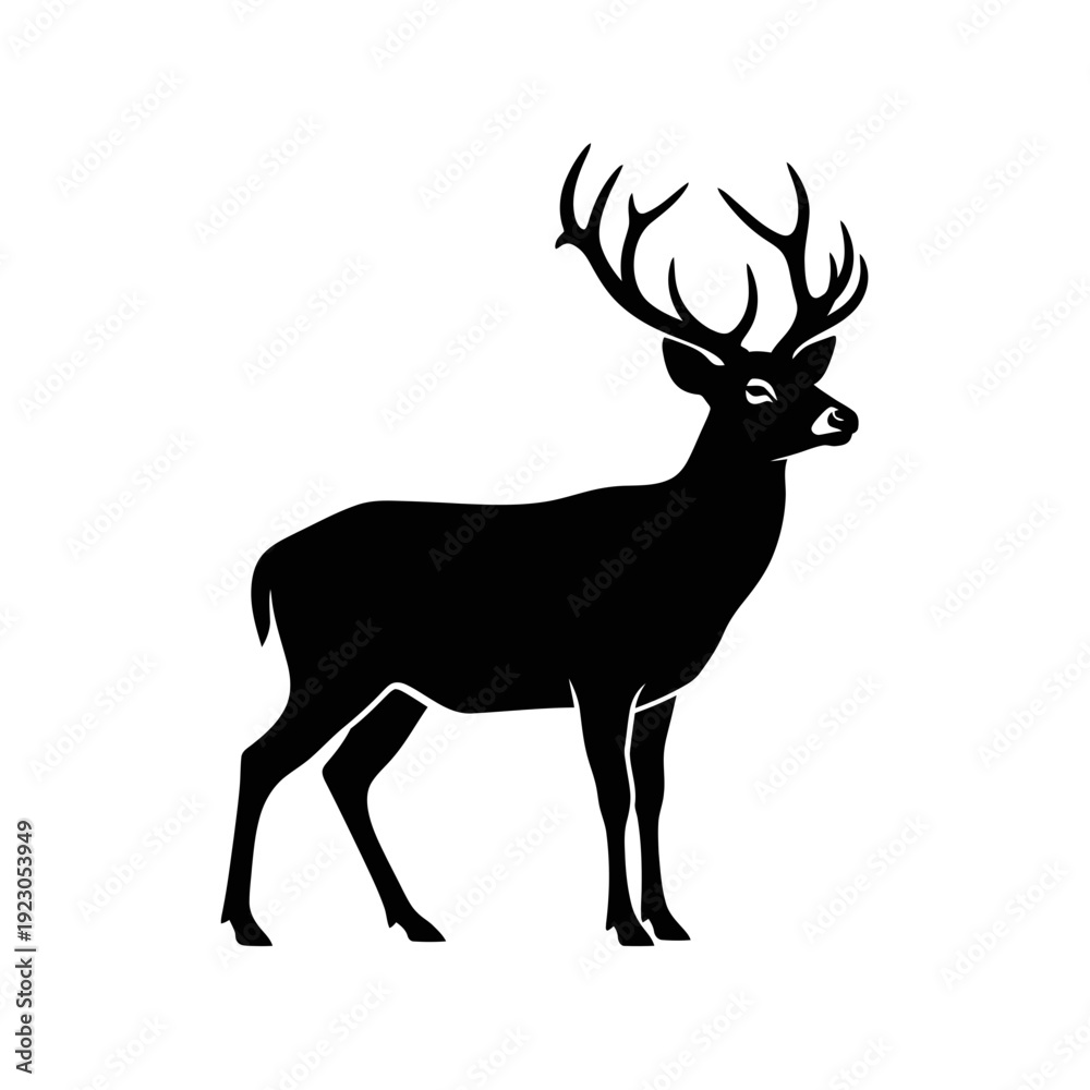 Fototapeta premium Silhouette of a majestic stag with large antlers 6.