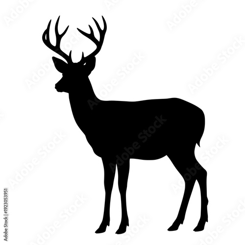 Silhouette of a majestic stag with large antlers 7.