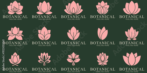 botanical logo collection for beauty, health, spa, skincare, organic product brands