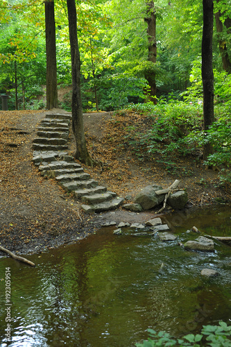 Forest stream with stone steps crossing small river in woodland