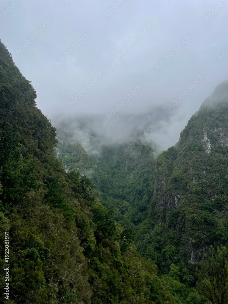 Fototapeta premium Nebel und Wolken im Regenwald