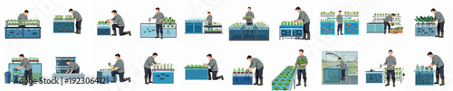 Detailed Man Working with Seedlings in Hydroponic System Illustration Set