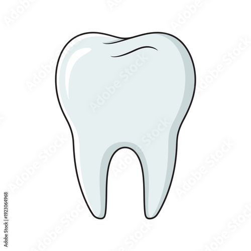 Illustration of a healthy tooth with roots on a plain white background viewed from front