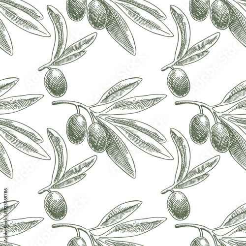 Seamless pattern drawings green olives branch. Hand drawn floral illustration olive fruit, tree branches, leaves background green vector. Drawings food. Edible foliage. Menu, wrapping card gift decor