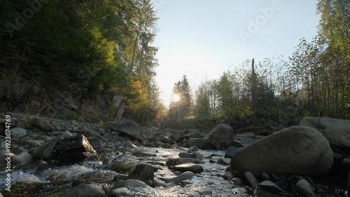 river in the woods