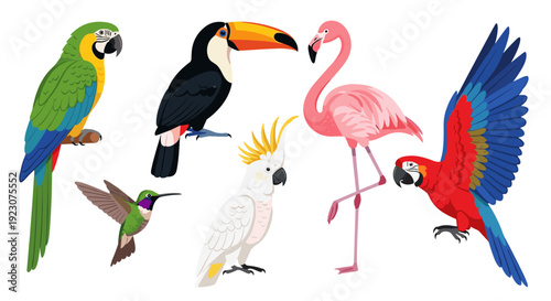 Colorful illustration of various exotic birds