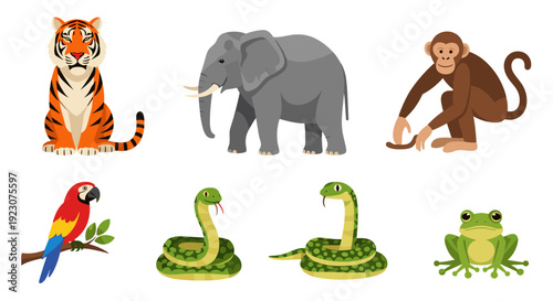 A colorful collection of jungle animals and reptiles