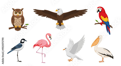 Collection of various colorful bird species