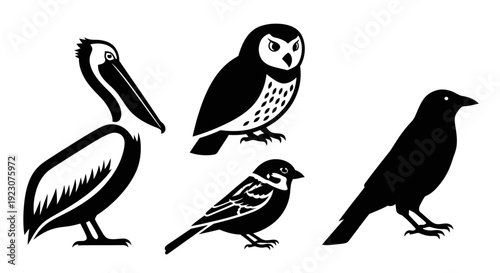 Bird silhouettes set: pelican, owl, sparrow, and crow vector illustration