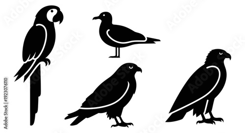 Collection of diverse bird silhouettes: parrot, seagull, and raptors, vector illustration