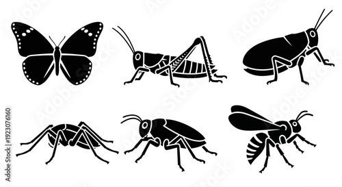 Collection of Insect Silhouettes, Various Bug Icons Set for Nature and Education Designs