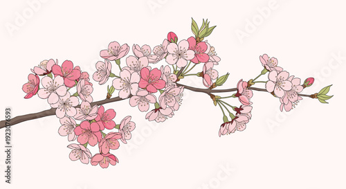 Beautiful pink cherry blossoms on a branch with green leaves
