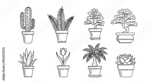 Collection of various potted plants and succulents in pots
