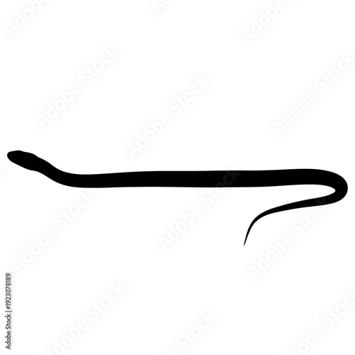 Black silhouette of a long snake.