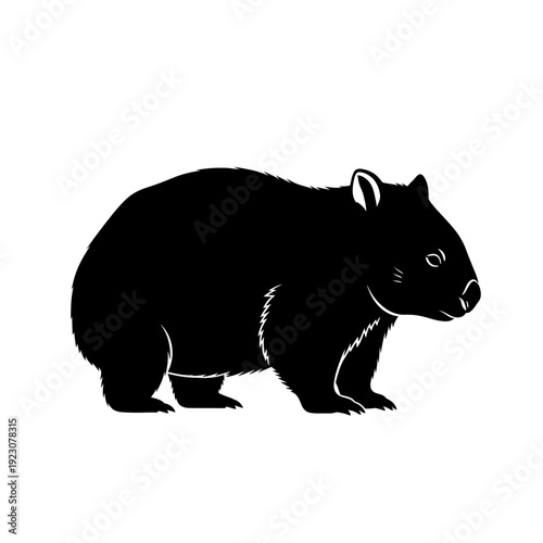 Black Silhouette of a Wombat Standing.