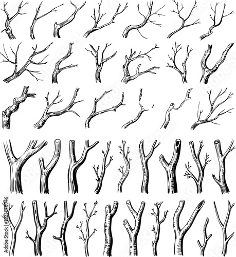 Detailed Bare Tree Branch Silhouette Pack – Winter Forest Dead Trees for Illustration, Backgrounds, and Design Resources