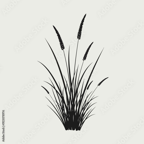 Black Silhouette of Tall Grass with Seed Heads.