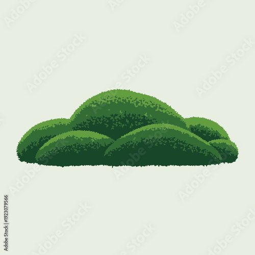 Green manicured bushes in a row.