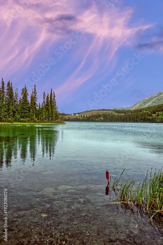 From the shallow waters to the depth of the Emerald Lake, YT, Canada