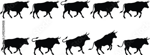 Bull silhouettes collection in walking and running poses isolated on white background livestock animal vector illustration set for design