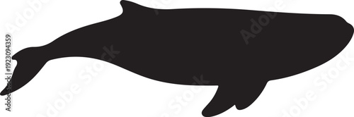 Generated Image February 23, 2026 - 2_33AM.eps