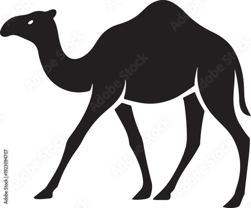 Black camel silhouette walking isolated on a white background.