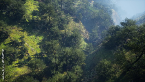 Vibrant green hills stretch across the landscape, with dense trees creating a peaceful atmosphere. Soft rays of sunlight filter through the foliage, highlighting natures beauty.