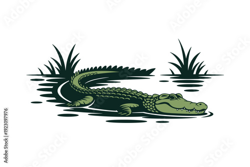 Crocodile swimming in murky swamp water with lush vegetation